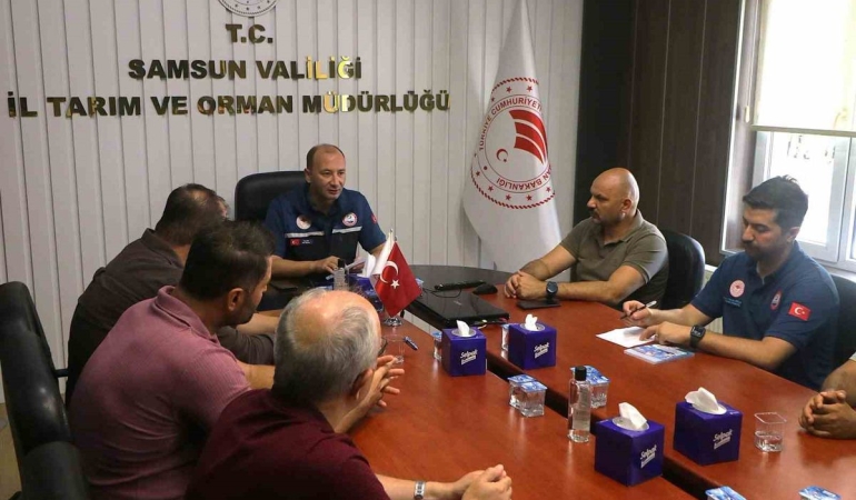 Samsun