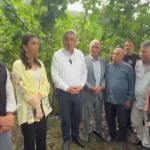 YENİ Parti Milletvekili Çan: Fındık Üreticisi 2B Arazisi ve Maliyet Baskısı Altında