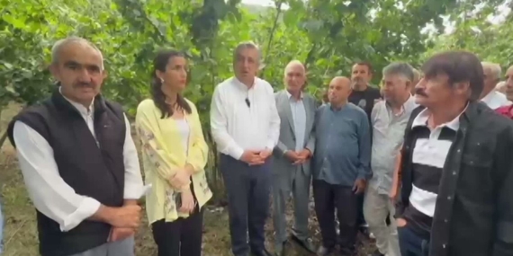YENİ Parti Milletvekili Çan: Fındık Üreticisi 2B Arazisi ve Maliyet Baskısı Altında