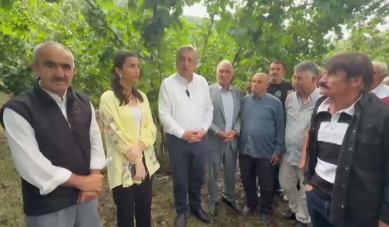 YENİ Parti Milletvekili Çan: Fındık Üreticisi 2B Arazisi ve Maliyet Baskısı Altında