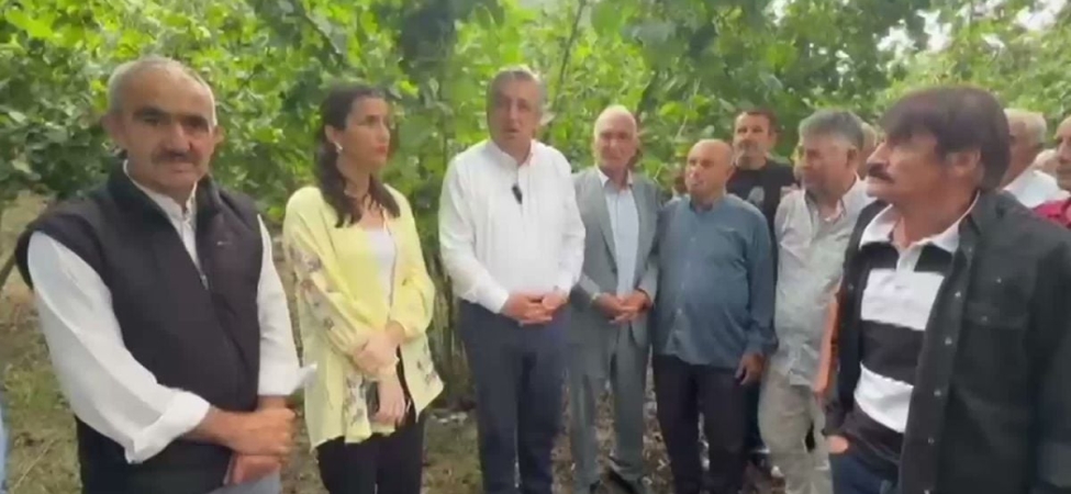 YENİ Parti Milletvekili Çan: Fındık Üreticisi 2B Arazisi ve Maliyet Baskısı Altında