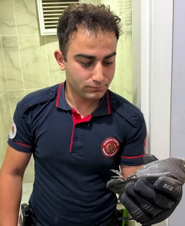 Yavru Güvercin İtfaiye Ekipleriyle Kurtarıldı