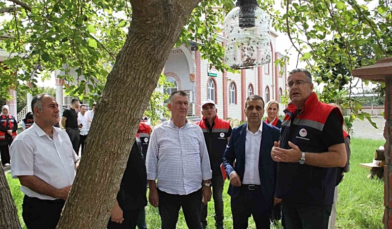 Kahverengi kokarcayla biyoteknik mücadele
