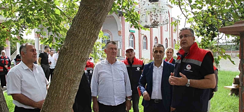 Kahverengi kokarcayla biyoteknik mücadele