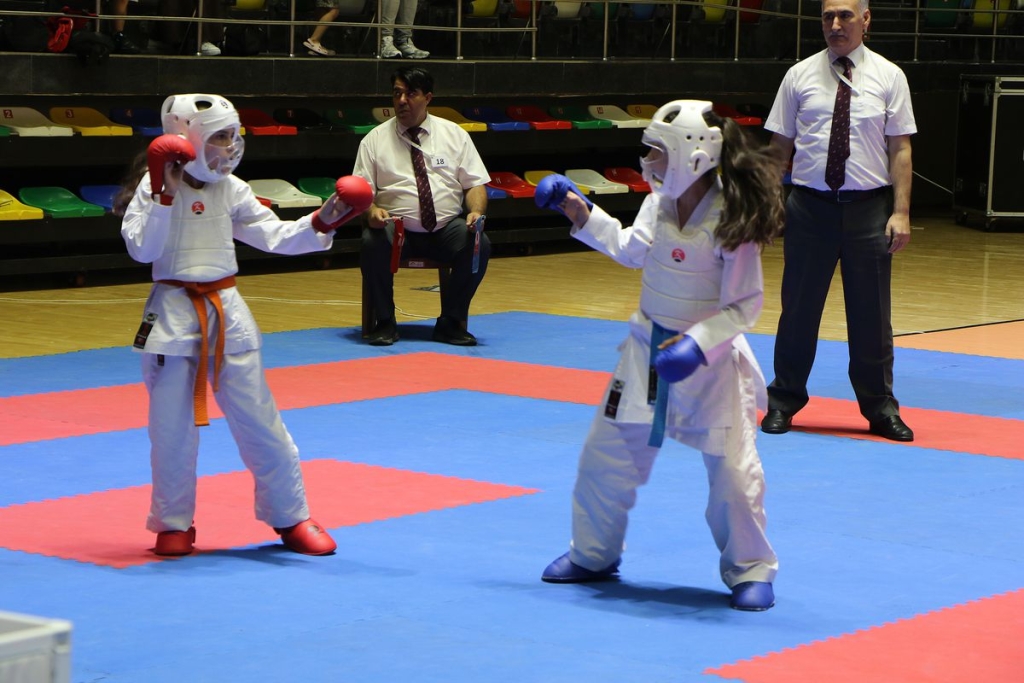 Karadeniz ve Hazar Ülkeleri Karate Şampiyonası Samsun