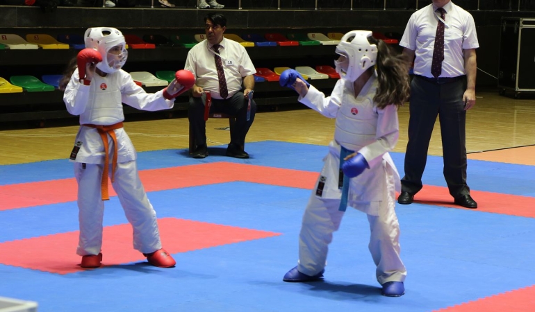 Karadeniz ve Hazar Ülkeleri Karate Şampiyonası Samsun