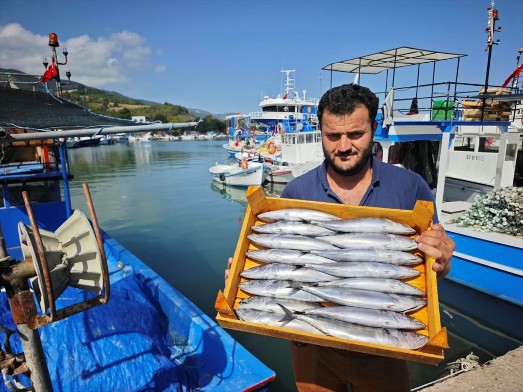 Karadeniz
