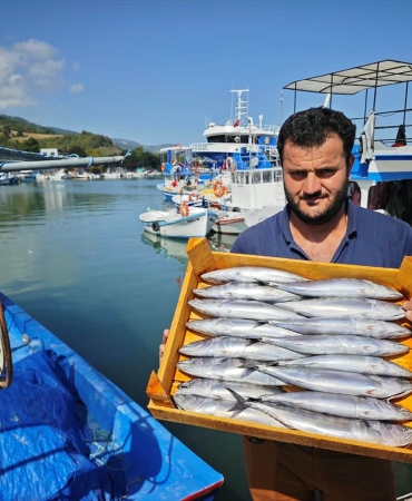 Karadeniz