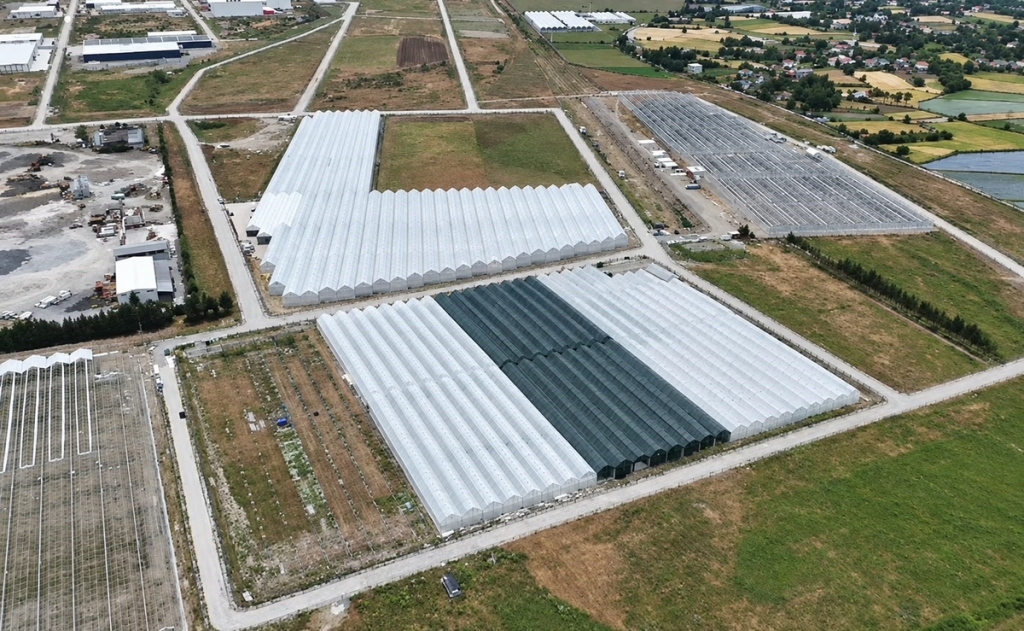 Samsun-Bafra Sera Organize Tarım Bölgesi