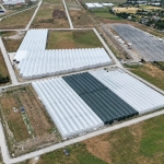 Samsun-Bafra Sera Organize Tarım Bölgesi