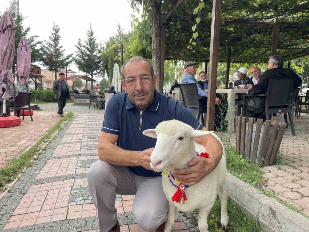 Samsun Kavak