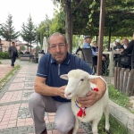Samsun Kavak