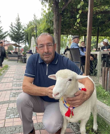 Samsun Kavak