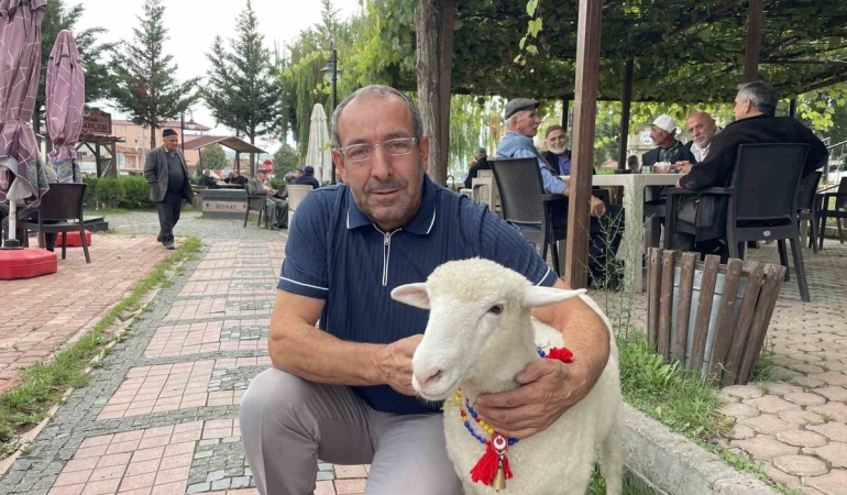 Samsun Kavak