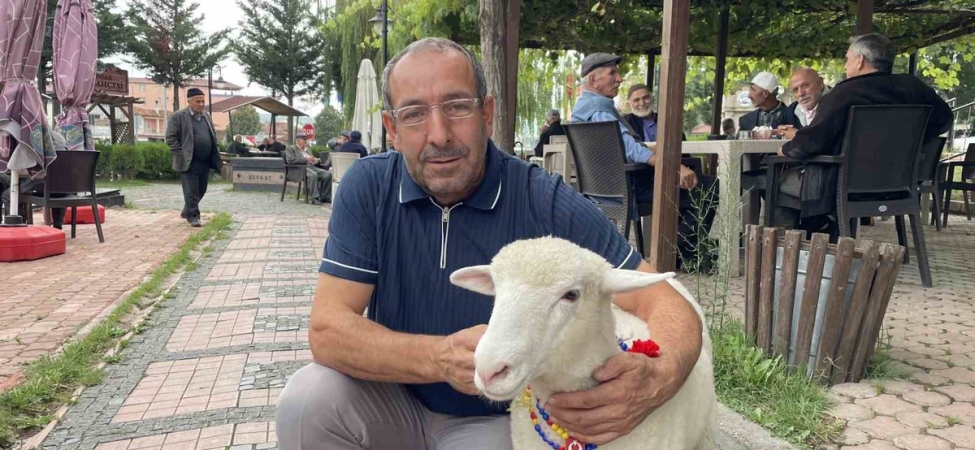 Samsun Kavak