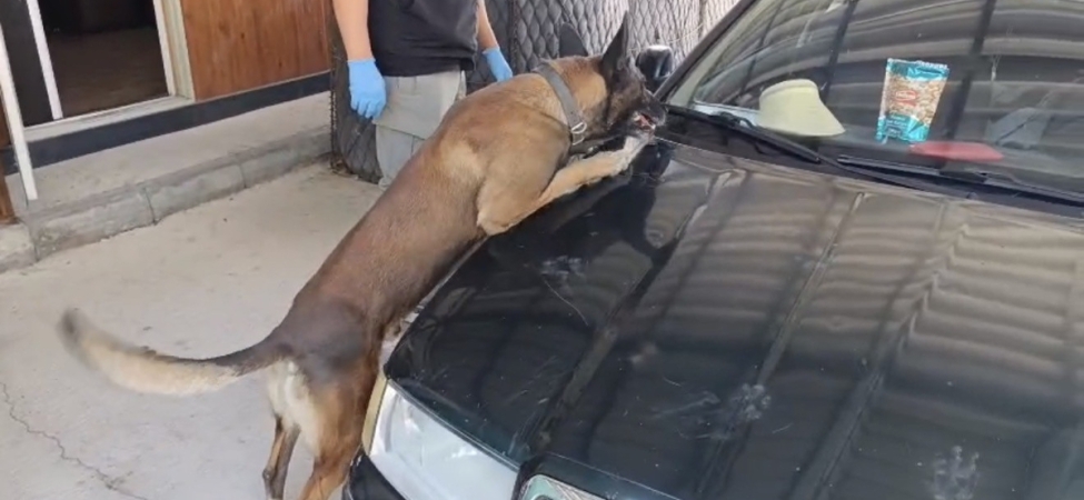 Samsun’da peş peşe uyuşturucu operasyonları: 1 kilo 225 gram metamfetamin ele geçirildi