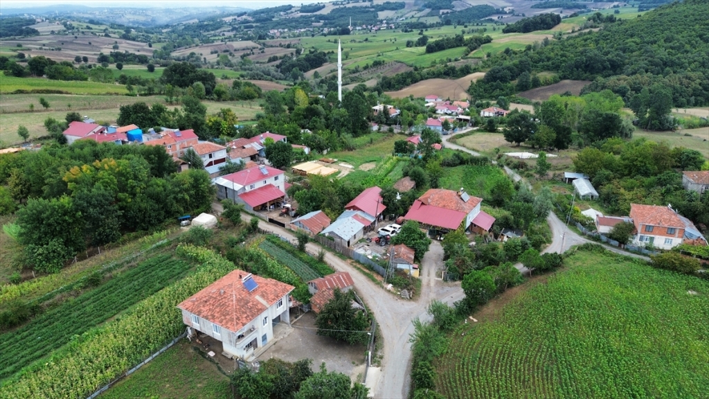 Samsun