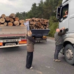 Gerze Orman İşletme Müdürlüğü ekipleri orman suçlarına karşı 7/24 denetim yapıyor