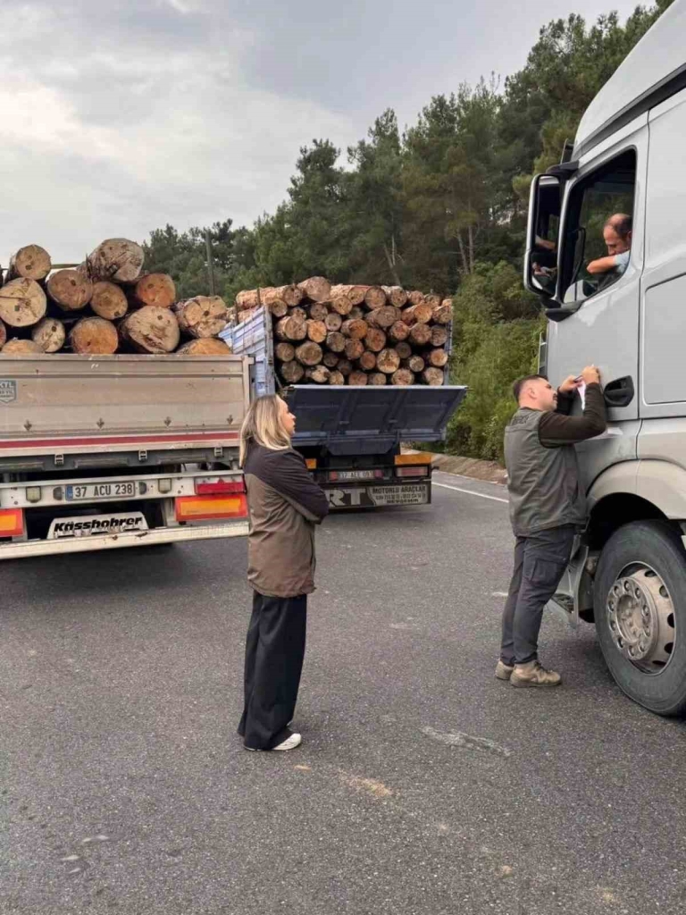 Gerze Orman İşletme Müdürlüğü ekipleri orman suçlarına karşı 7/24 denetim yapıyor