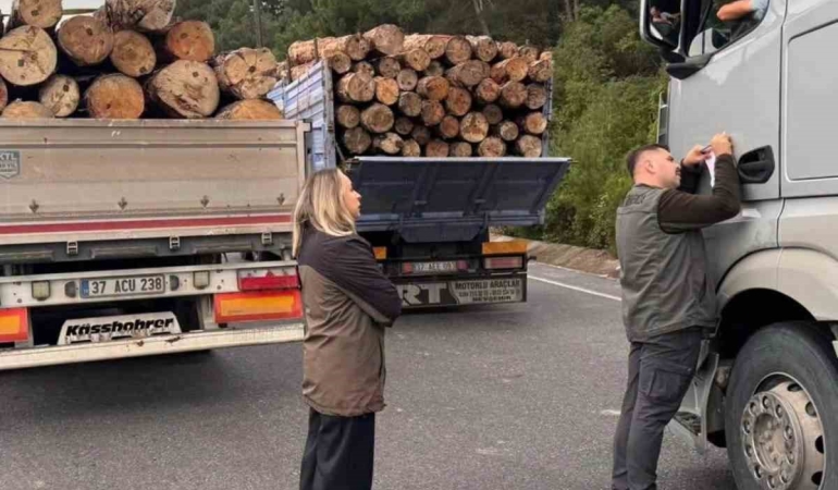 Gerze Orman İşletme Müdürlüğü ekipleri orman suçlarına karşı 7/24 denetim yapıyor