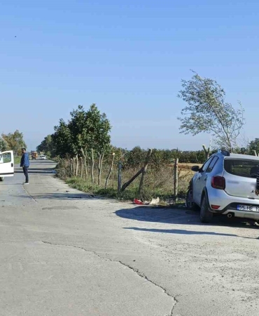 Samsun Bafra