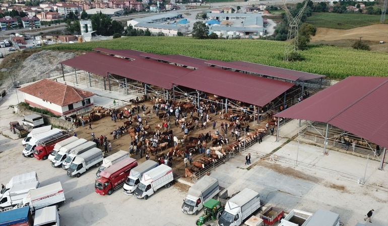 Samsun Havza
