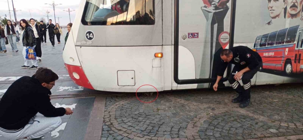 Samsun
