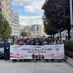 Üç kentte Yaşlılar Günü yürüyüşü yapıldı, Samsun Valisi Tavlı konuştu
