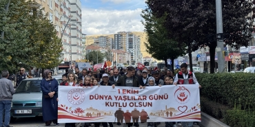Üç kentte Yaşlılar Günü yürüyüşü yapıldı, Samsun Valisi Tavlı konuştu