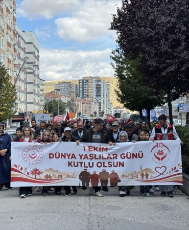 Üç kentte Yaşlılar Günü yürüyüşü yapıldı, Samsun Valisi Tavlı konuştu